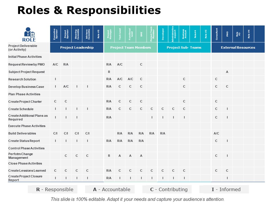 Roles And Responsibilities Ppt PowerPoint Presentation Pictures Background Image