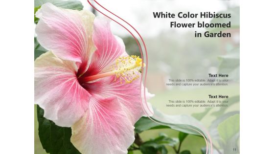 Rose Mallow Inspection Hibiscus Flower Ppt PowerPoint Presentation Complete Deck
