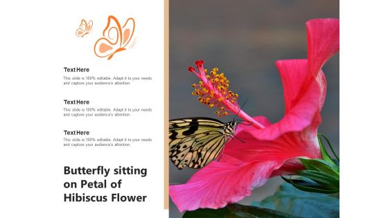 Rose Mallow Inspection Hibiscus Flower Ppt PowerPoint Presentation Complete Deck