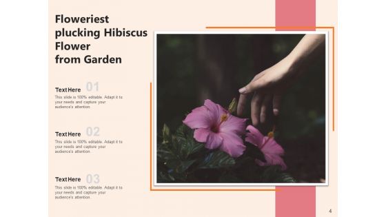 Rose Mallow Inspection Hibiscus Flower Ppt PowerPoint Presentation Complete Deck