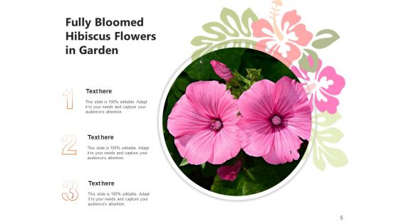 Rose Mallow Inspection Hibiscus Flower Ppt PowerPoint Presentation Complete Deck