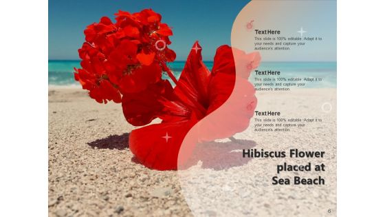 Rose Mallow Inspection Hibiscus Flower Ppt PowerPoint Presentation Complete Deck