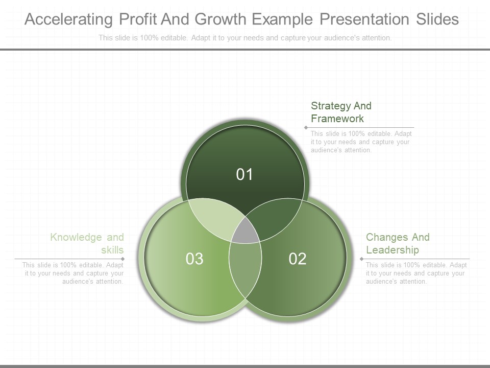 Accelerating Profit And Growth Example Presentation Slides
