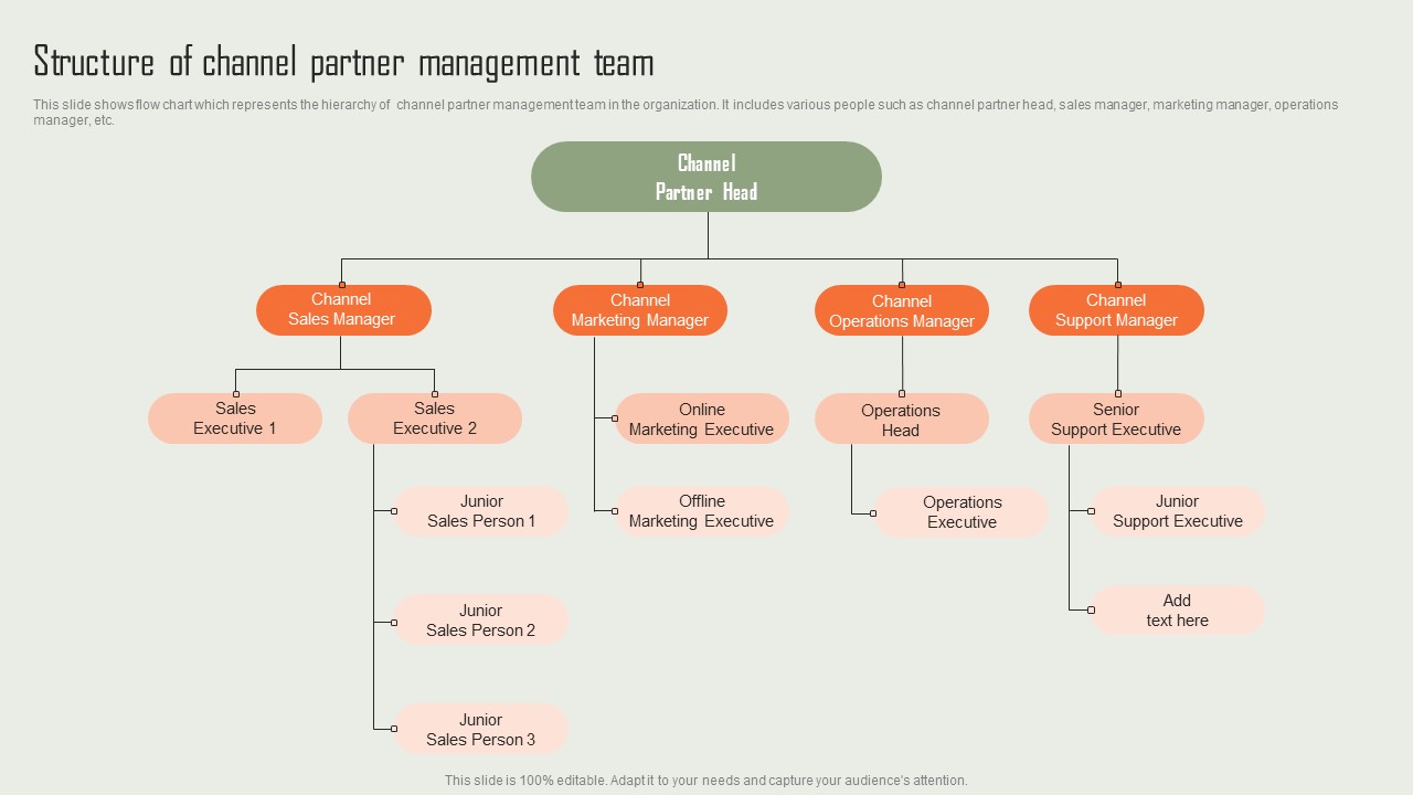 Product Marketing And Sales Expansion Through Channel Structure Of Channel Partner Management Team Structure PDF