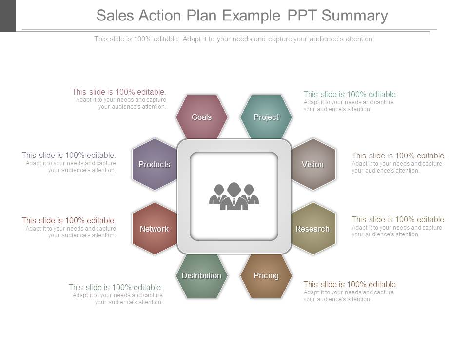 Sales Action Plan Example Ppt Summary