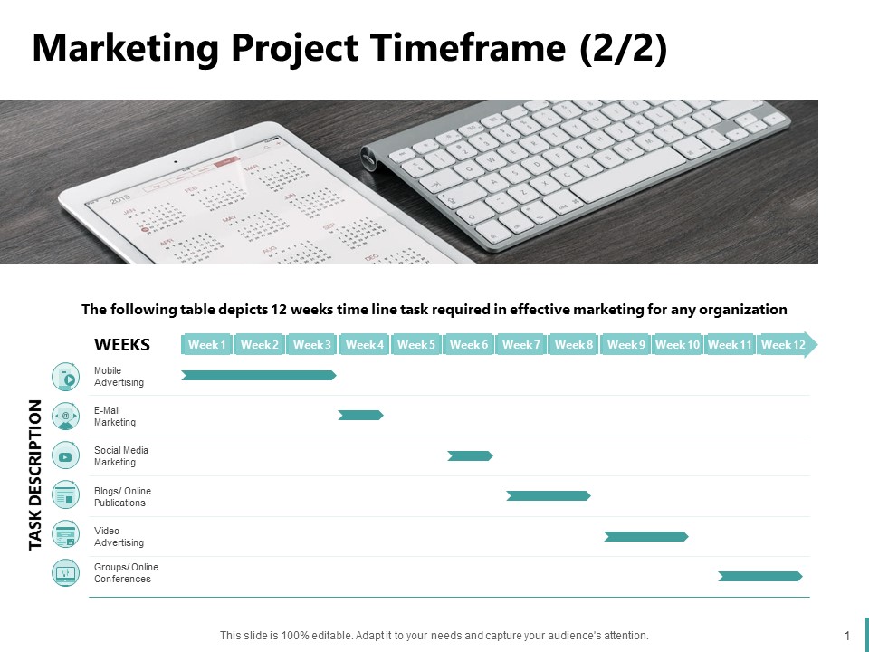 Sales And Business Development Action Plan Marketing Project Timeframe Organization Ppt Inspiration Designs PDF