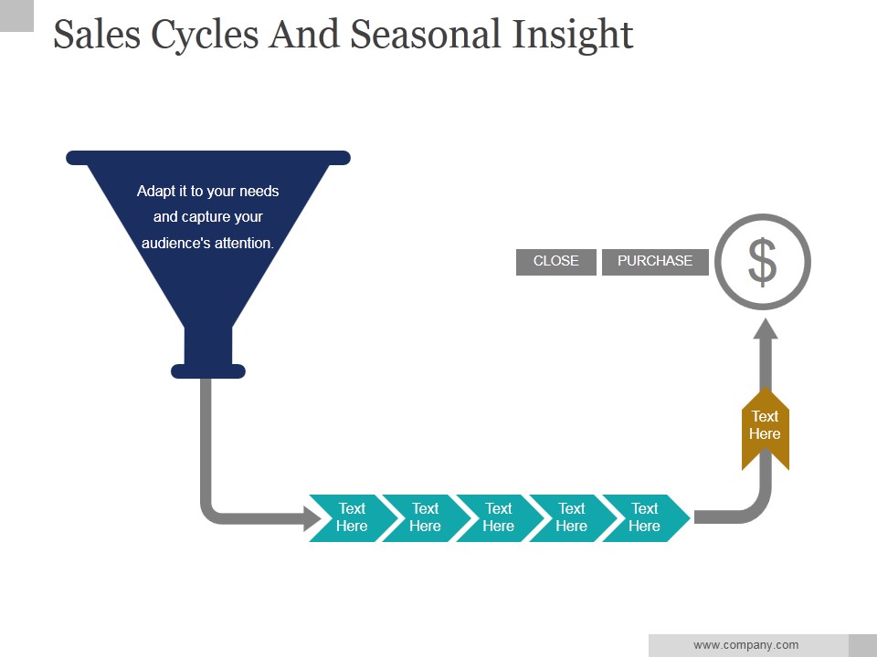 Sales Cycles And Seasonal Insight Ppt PowerPoint Presentation Designs