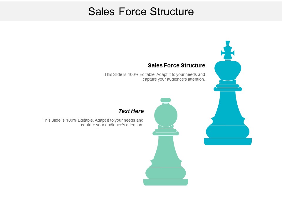 Sales Force Structure Ppt PowerPoint Presentation Styles Layouts Cpb