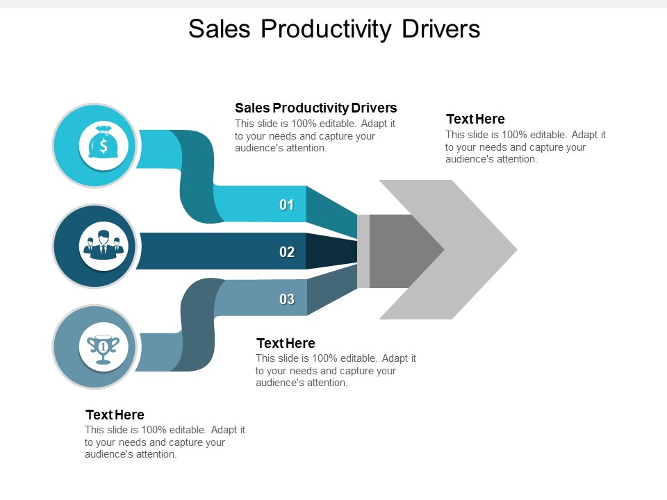 Sales Productivity Drivers Ppt PowerPoint Presentation Slides Picture Cpb