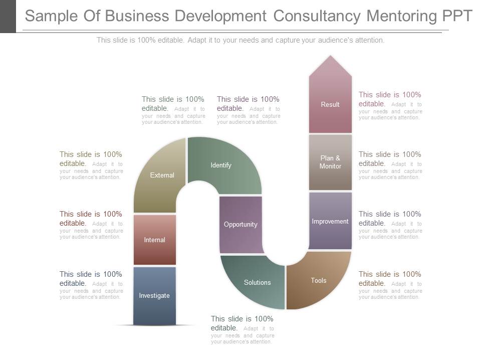 Sample Of Business Development Consultancy Mentoring Ppt