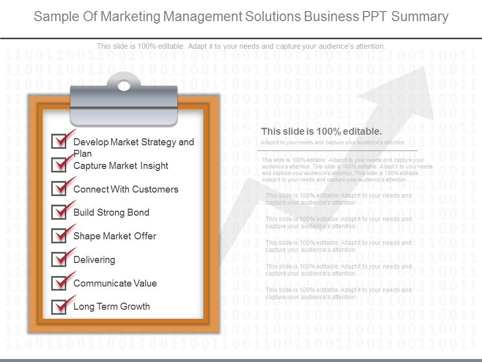 Sample Of Marketing Management Solutions Business Ppt Summary