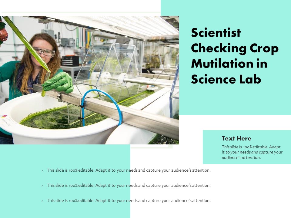 Scientist Checking Crop Mutilation In Science Lab Ppt PowerPoint Presentation Portfolio Slides PDF