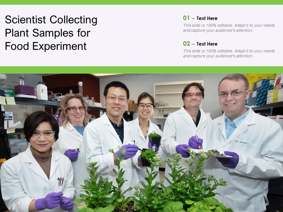 Scientist Collecting Plant Samples For Food Experiment Ppt PowerPoint Presentation File Model PDF