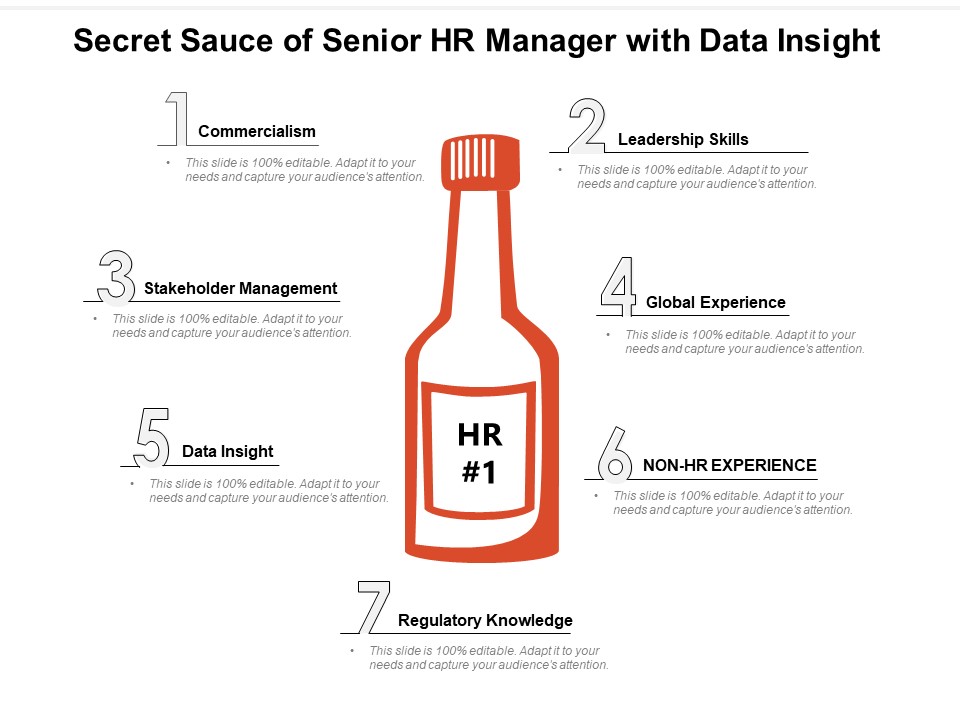 Secret Sauce Of Senior Hr Manager With Data Insight Ppt PowerPoint Presentation Summary Backgrounds PDF