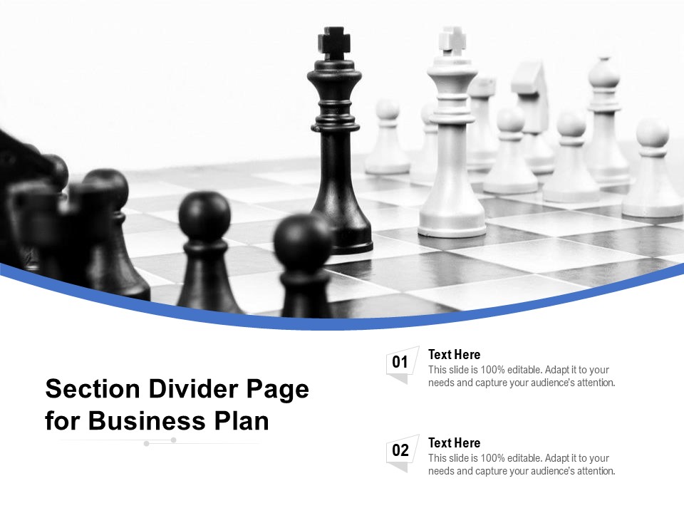 Section Divider Page For Business Plan Ppt PowerPoint Presentation Ideas Format Ideas PDF