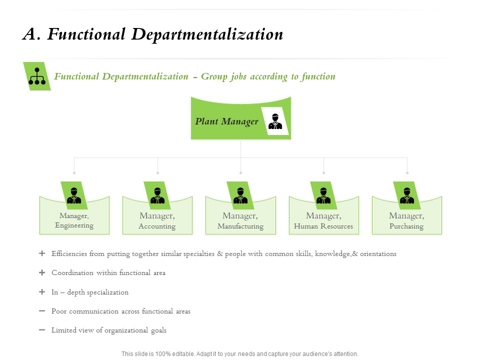 Select Of Organizational Model That Supports Your Strategy A Functional Departmentalization Ppt Portfolio Show PDF