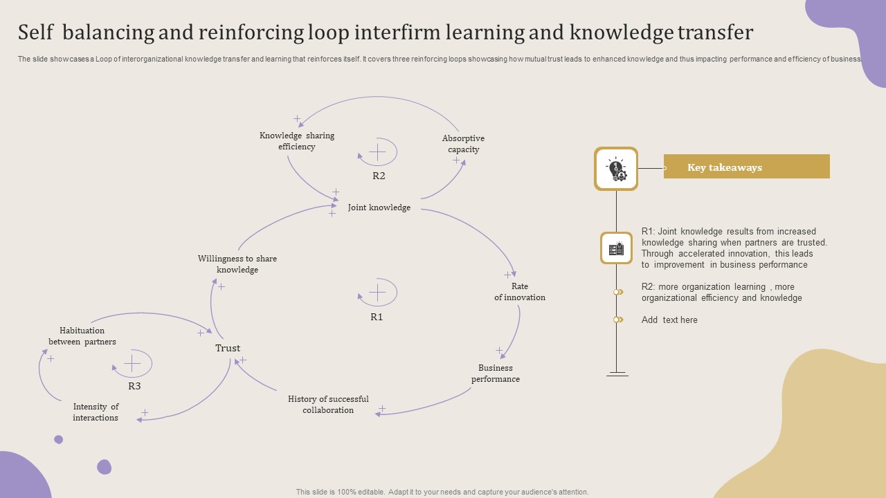 Self Balancing And Reinforcing Loop Interfirm Learning And Knowledge Transfer Designs PDF