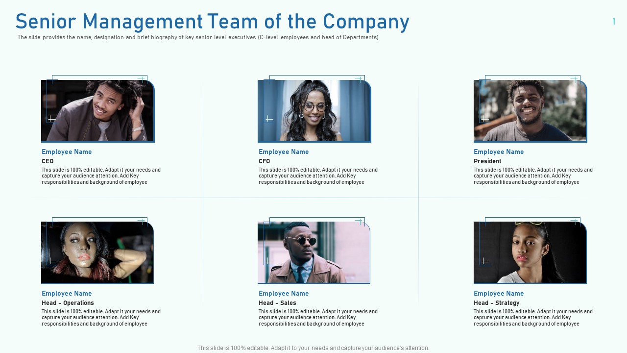 Senior Management Team Of The Company Ppt Show Structure PDF