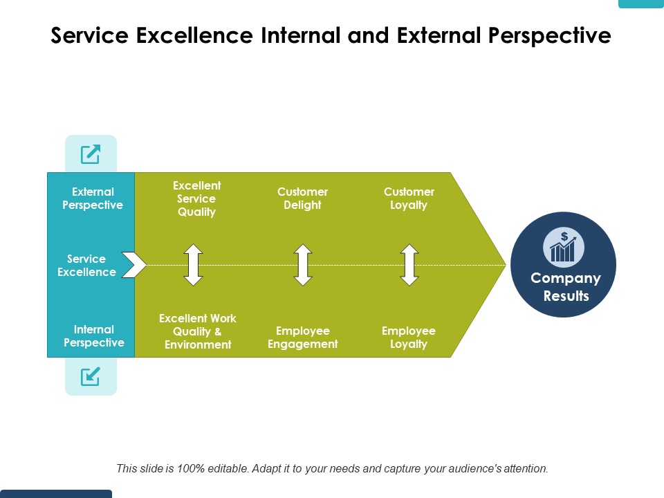 Service Excellence Internal And External Perspective Ppt PowerPoint Presentation Gallery Graphics