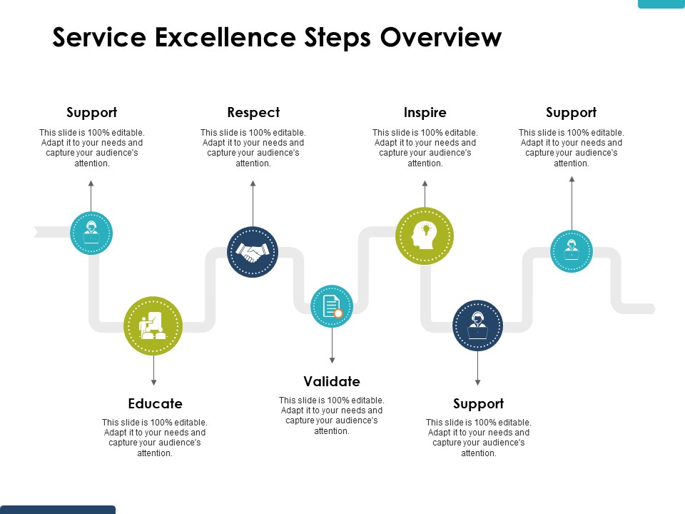 Service Excellence Steps Overview Ppt PowerPoint Presentation Professional