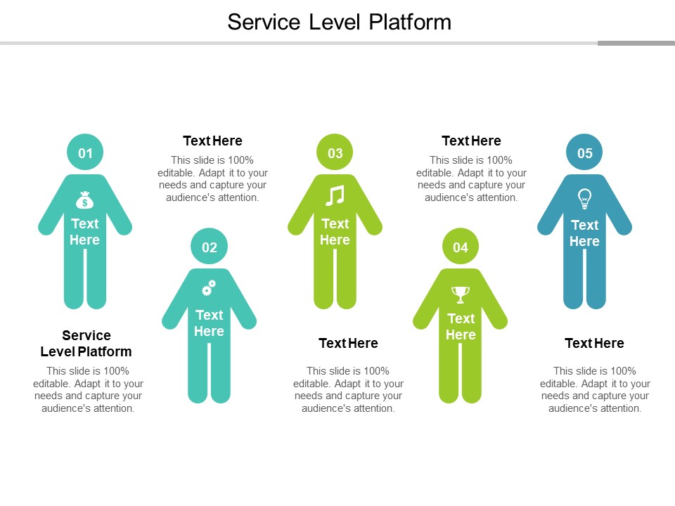 Service Level Platform Ppt PowerPoint Presentation Slides Graphics Design Cpb