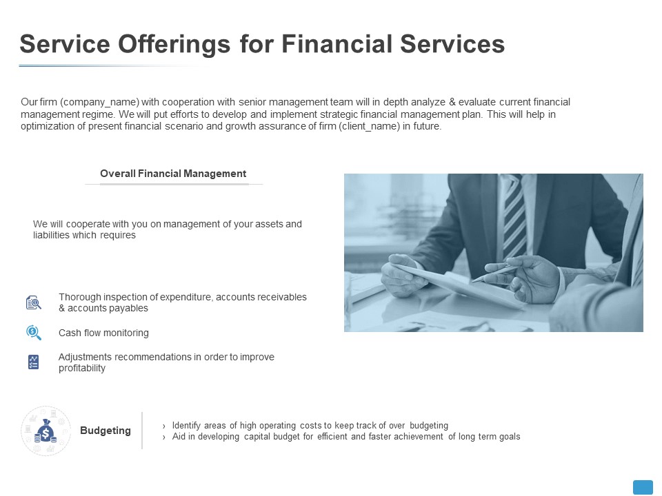 Service Offerings For Financial Services Budgeting Ppt PowerPoint Presentation Professional Show