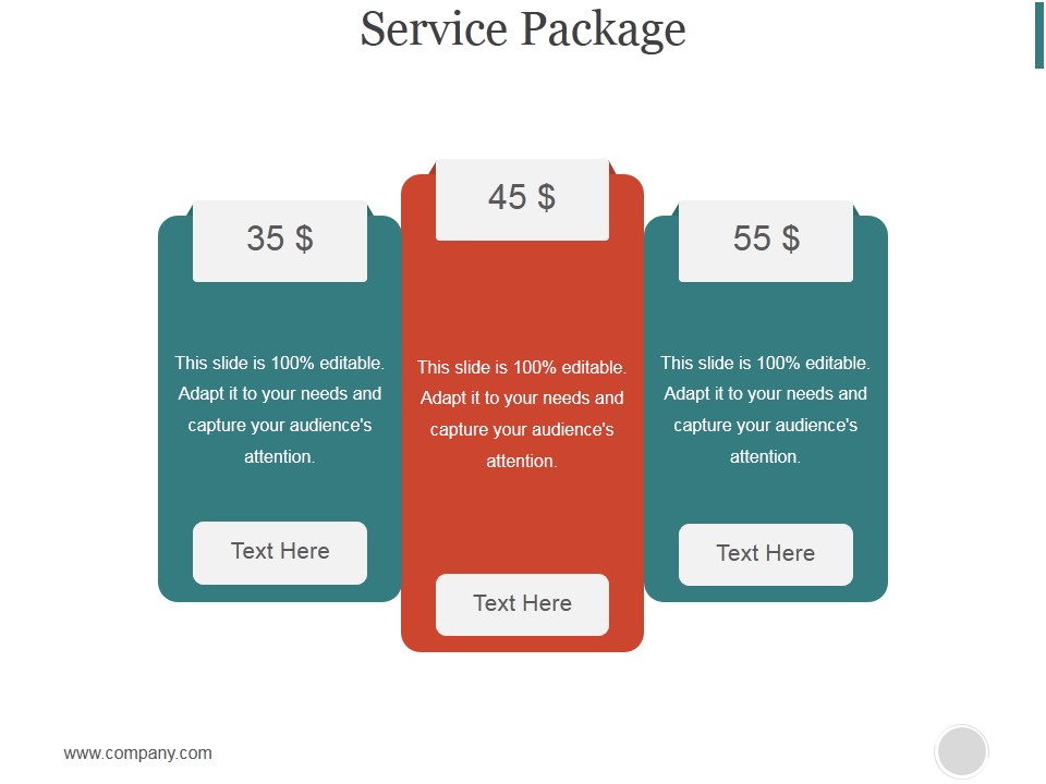 Service Package Slide Ppt PowerPoint Presentation Slide
