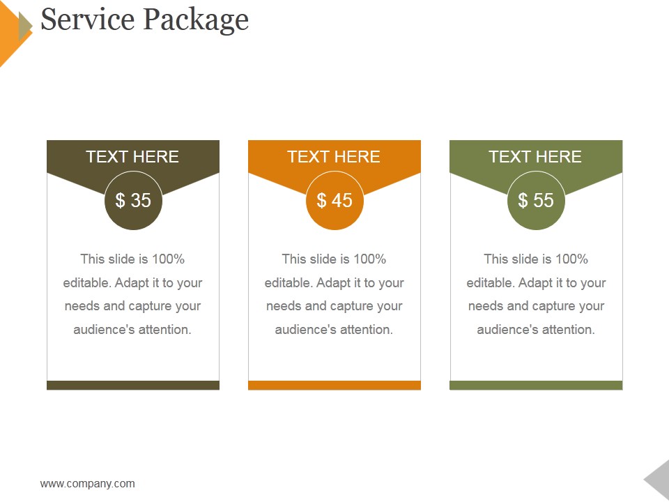 Service Package Template 1 Ppt PowerPoint Presentation Professional Topics