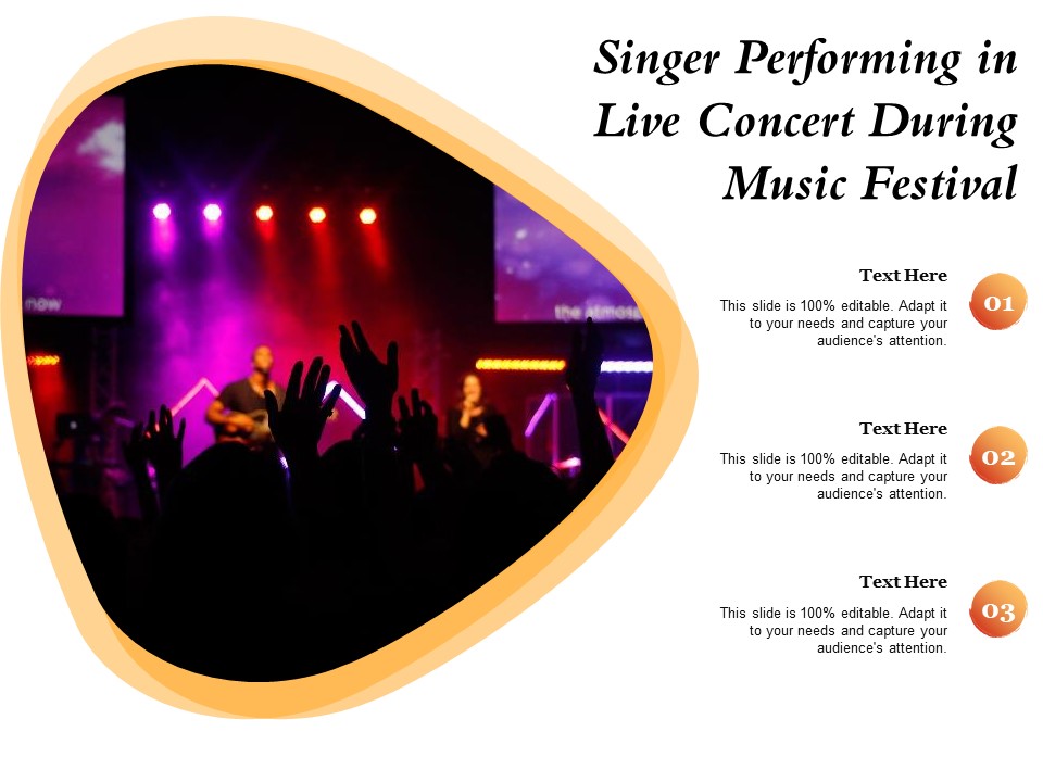 Singer Performing In Live Concert During Music Festival Ppt PowerPoint Presentation Infographics Maker PDF