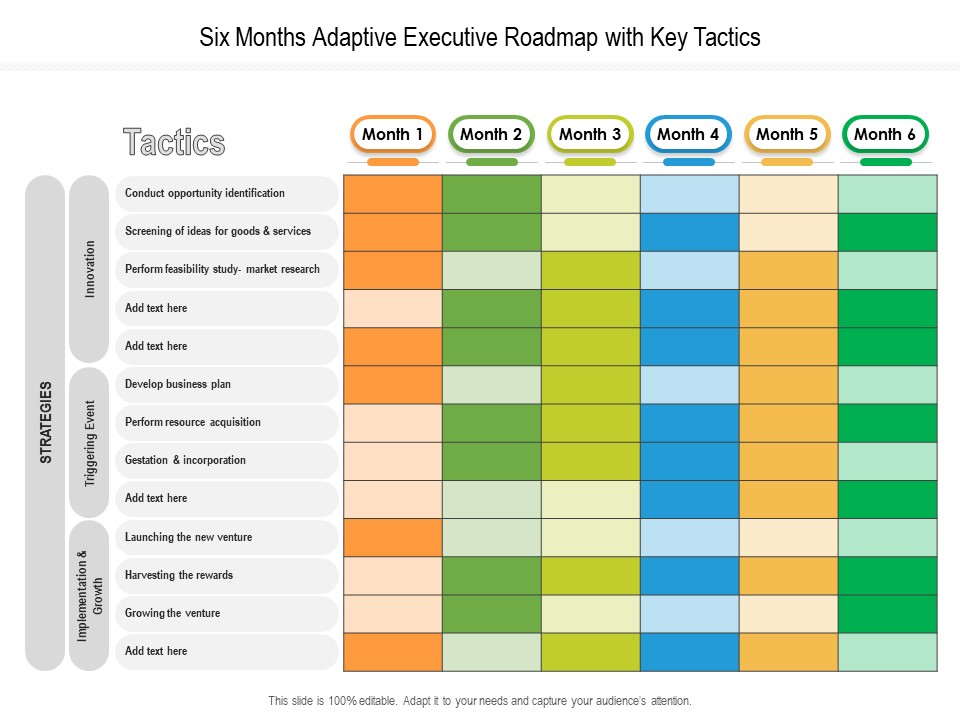 Six Months Adaptive Executive Roadmap With Key Tactics Summary