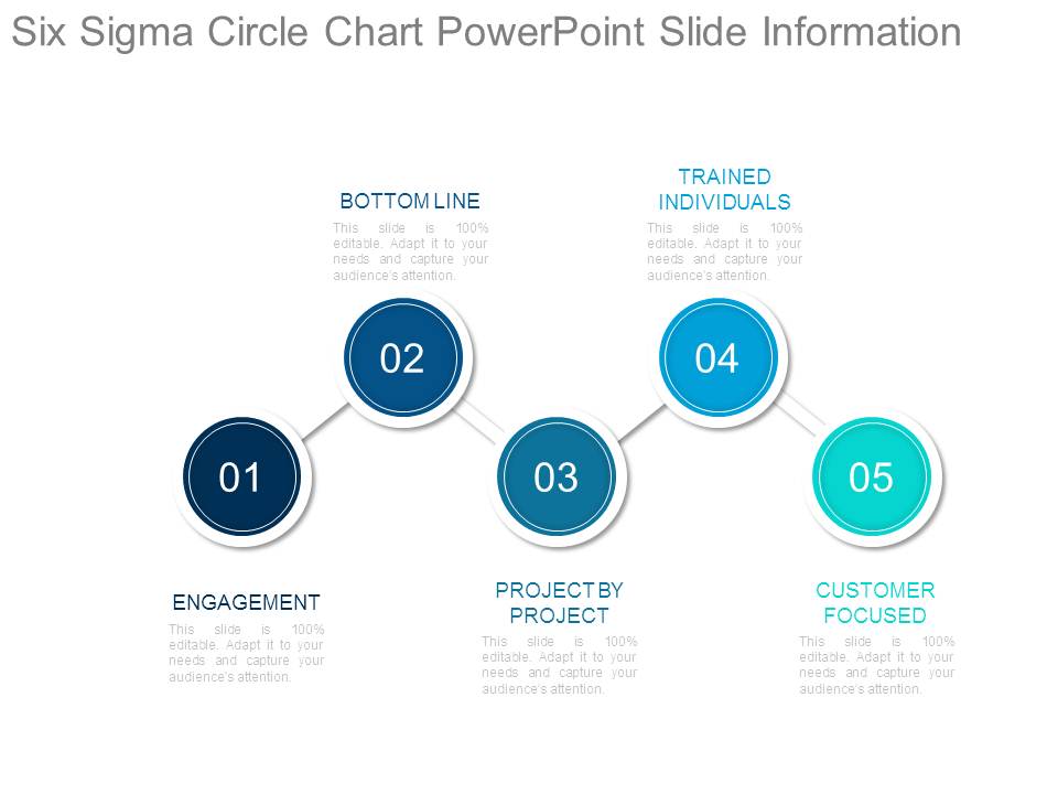 Six Sigma Circle Chart Powerpoint Slide Information