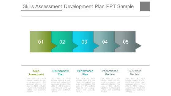 Skills Assessment Development Plan Ppt Sample
