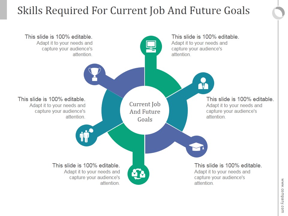 Skills Required For Current Job And Future Goals Ppt PowerPoint Presentation Show
