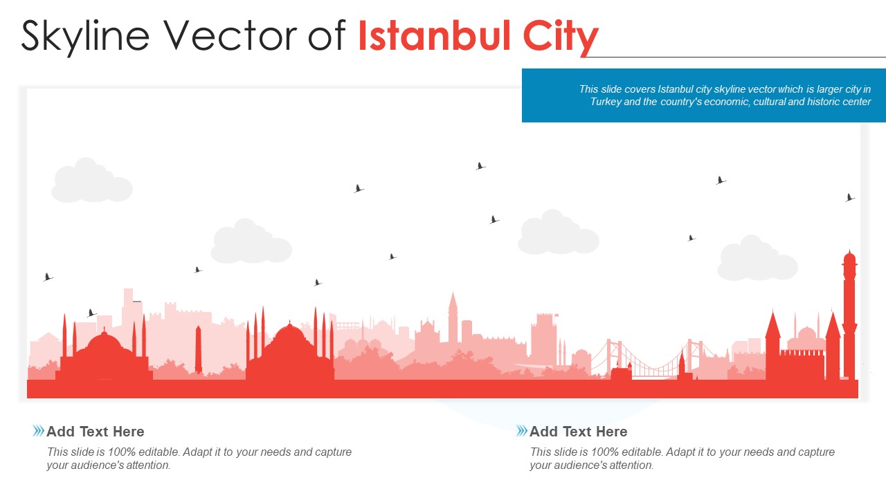Skyline Vector Of Istanbul City PowerPoint Presentation PPT Template PDF