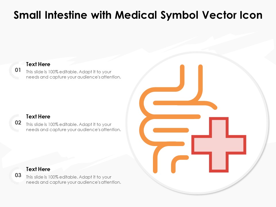 Small Intestine With Medical Symbol Vector Icon Ppt PowerPoint Presentation Summary Design Inspiration PDF