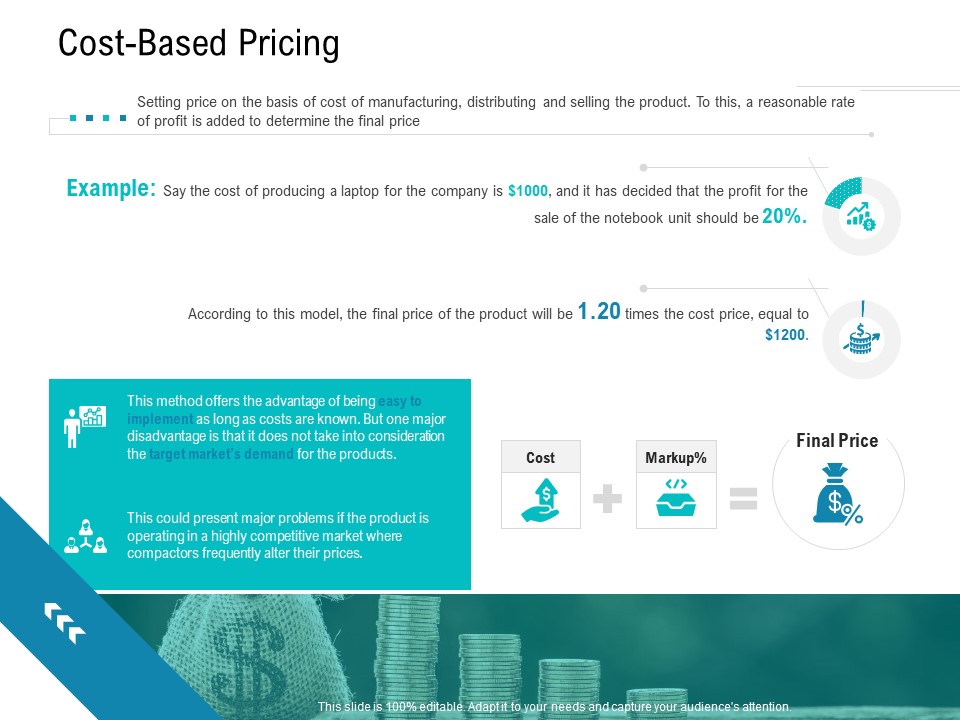 Smart Software Pricing Strategies Cost Based Pricing Ppt Layouts Structure PDF
