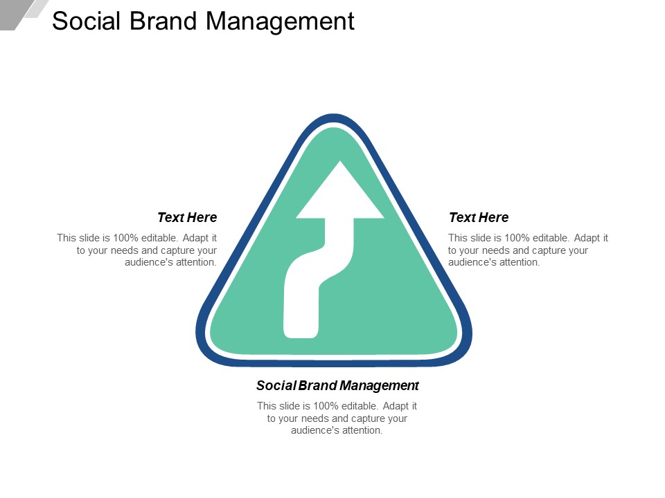 Social Brand Management Ppt PowerPoint Presentation Portfolio Background Designs Cpb