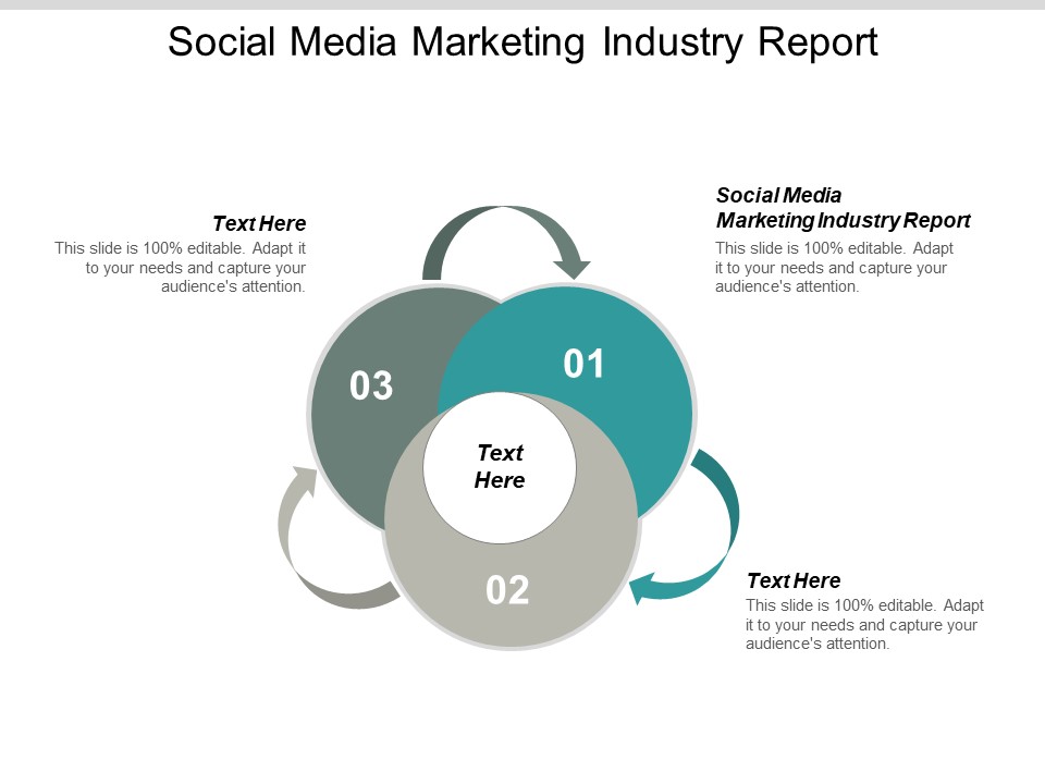 Social Media Marketing Industry Report Ppt PowerPoint Presentation Professional Example Cpb