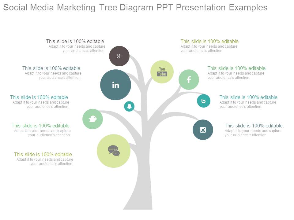 Social Media Marketing Tree Diagram Ppt Presentation Examples