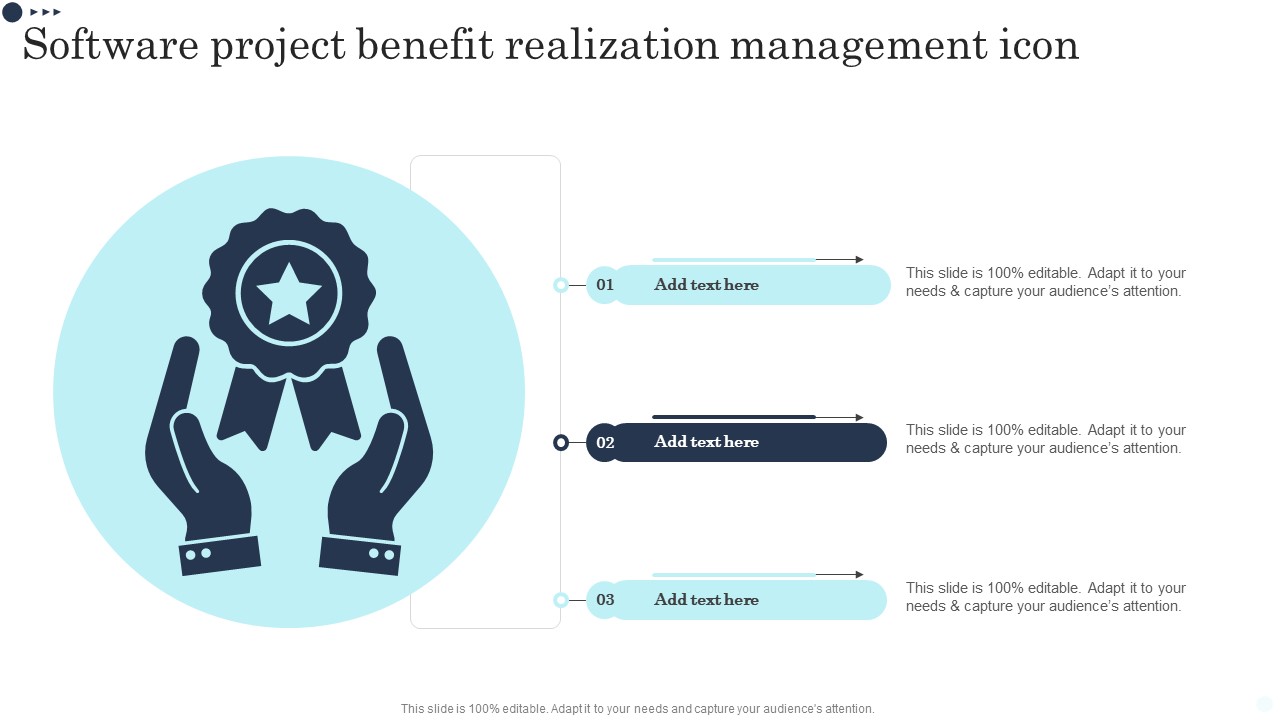 Software Project Benefit Realization Management Icon Brochure PDF