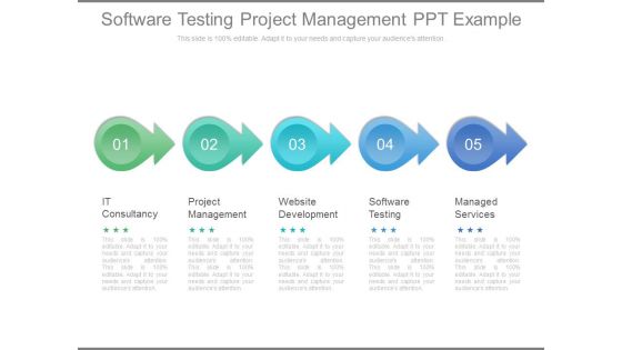 Software Testing Project Management Ppt Example
