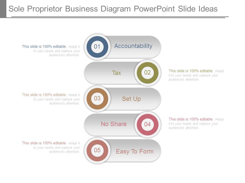 Sole Proprietor Business Diagram Powerpoint Slide Ideas