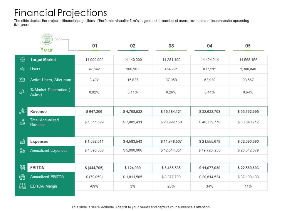 Solvency Action Plan For Private Organization Financial Projections Structure PDF