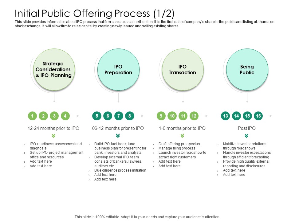 Solvency Action Plan For Private Organization Initial Public Offering Process Attract Summary PDF