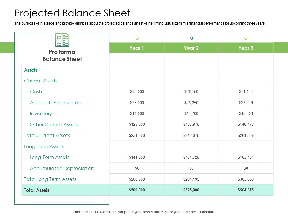 Solvency Action Plan For Private Organization Projected Balance Sheet Information PDF