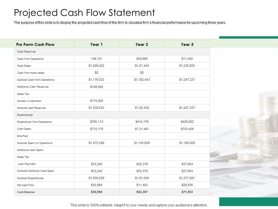 Solvency Action Plan For Private Organization Projected Cash Flow Statement Demonstration PDF