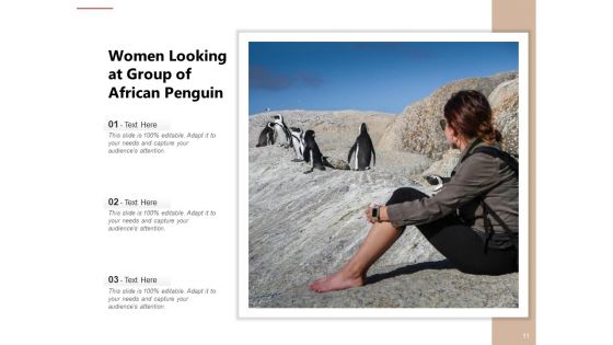 Spheniscidae Aquatic Animal Brown Penguin Ppt PowerPoint Presentation Complete Deck