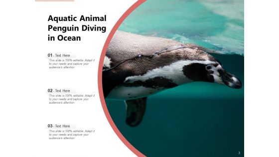 Spheniscidae Aquatic Animal Brown Penguin Ppt PowerPoint Presentation Complete Deck