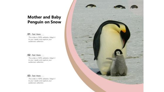 Spheniscidae Aquatic Animal Brown Penguin Ppt PowerPoint Presentation Complete Deck