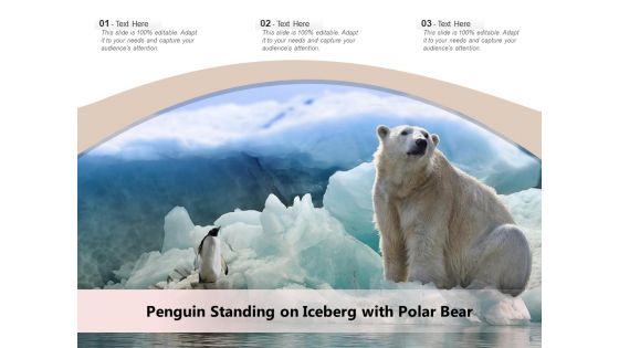 Spheniscidae Aquatic Animal Brown Penguin Ppt PowerPoint Presentation Complete Deck